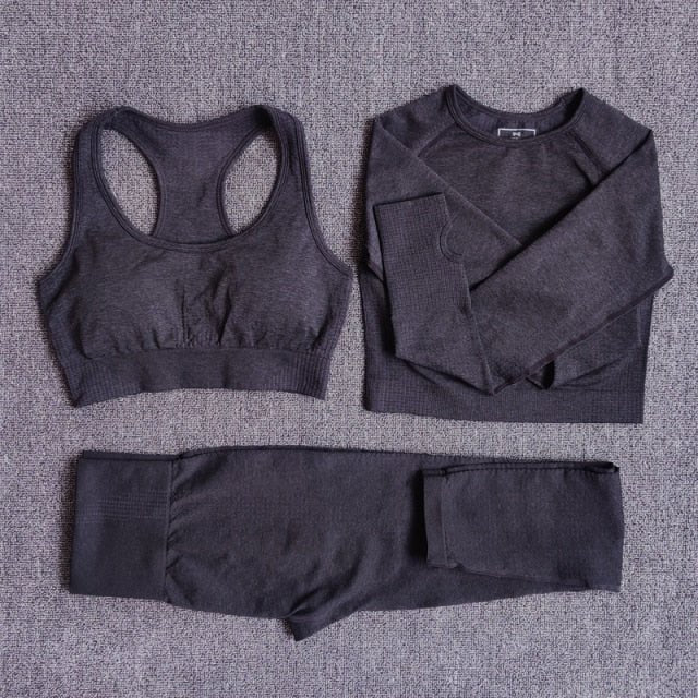 Conjunto Fitness Sem Costura 2/3/5 Peças