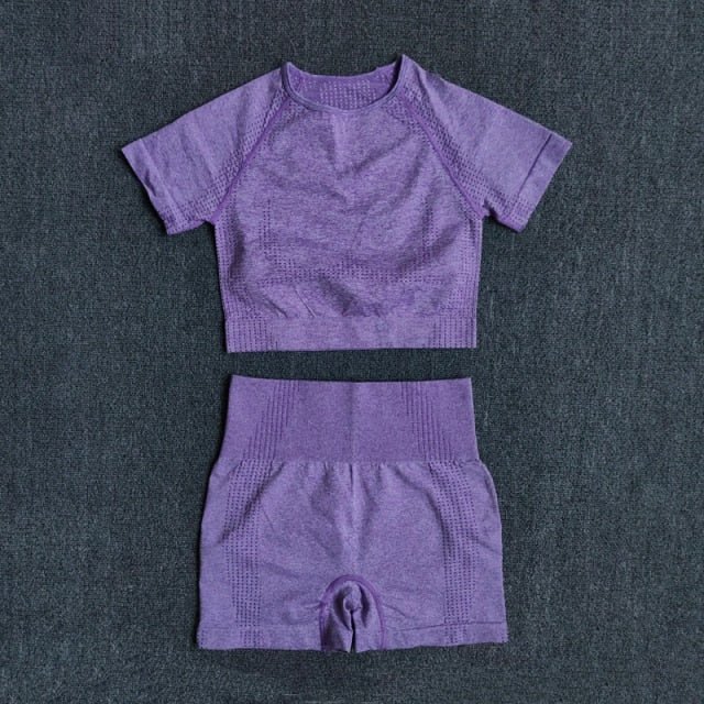 Conjunto Fitness Sem Costura 2/3/5 Peças