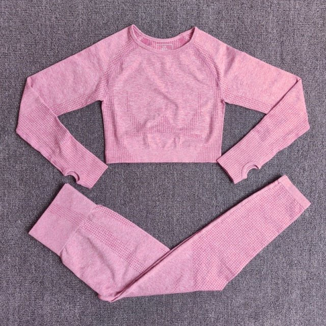 Conjunto Fitness Sem Costura 2/3/5 Peças