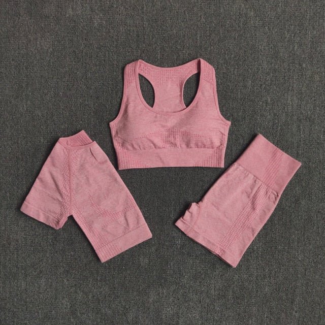 Conjunto Fitness Sem Costura 2/3/5 Peças
