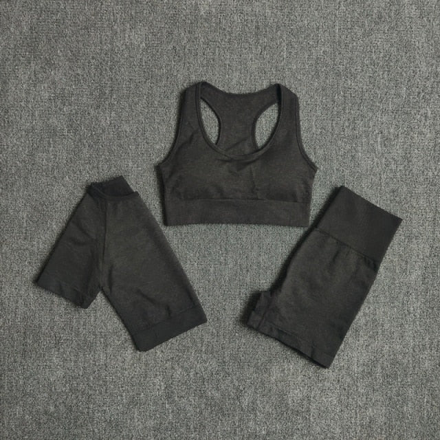 Conjunto Fitness Sem Costura 2/3/5 Peças
