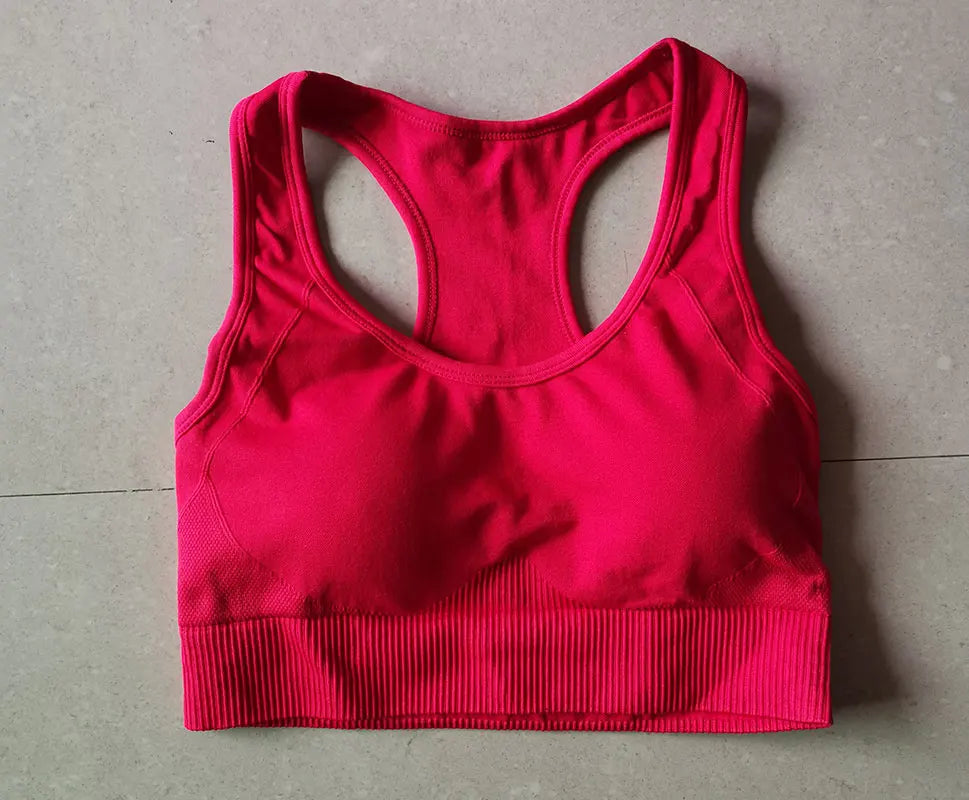 Sutiã sem costura para mulheres, sutiã esportivo acolchoado, corrida, roupas de treino, roupas de ginástica feminina, top fitness, roupas esportivas monocromáticas, novo