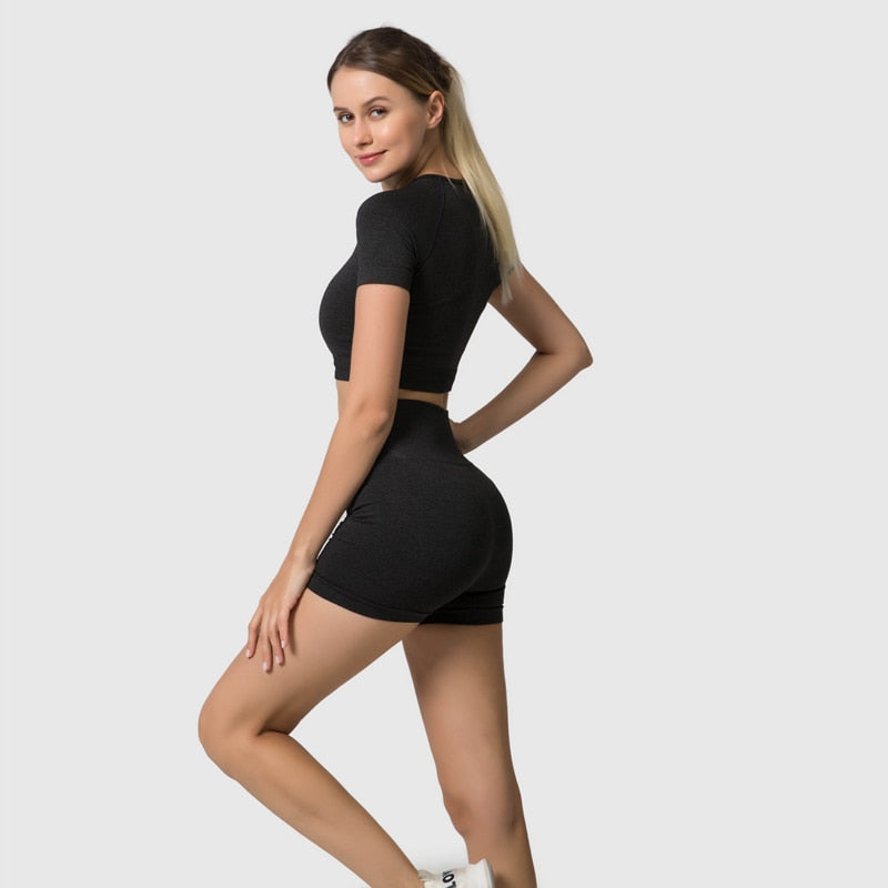 Conjunto Fitness Sem Costura 2/3/5 Peças