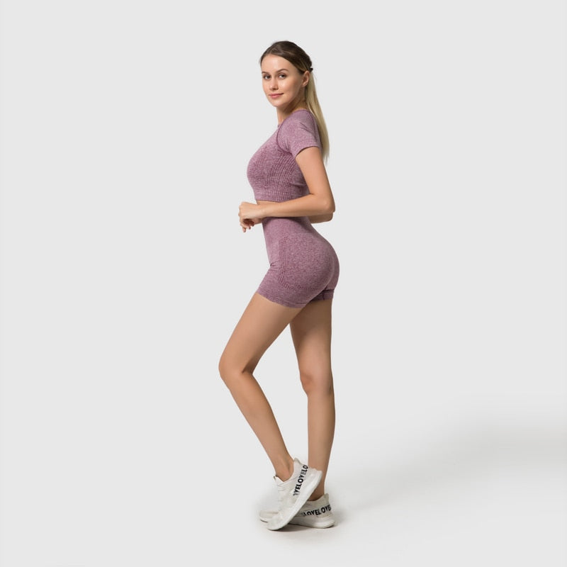 Conjunto Fitness Sem Costura 2/3/5 Peças
