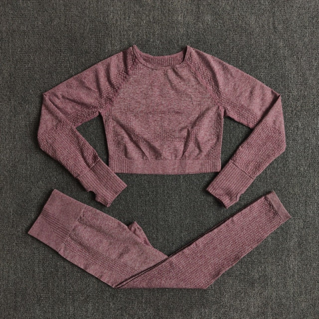 Conjunto Fitness Sem Costura 2/3/5 Peças