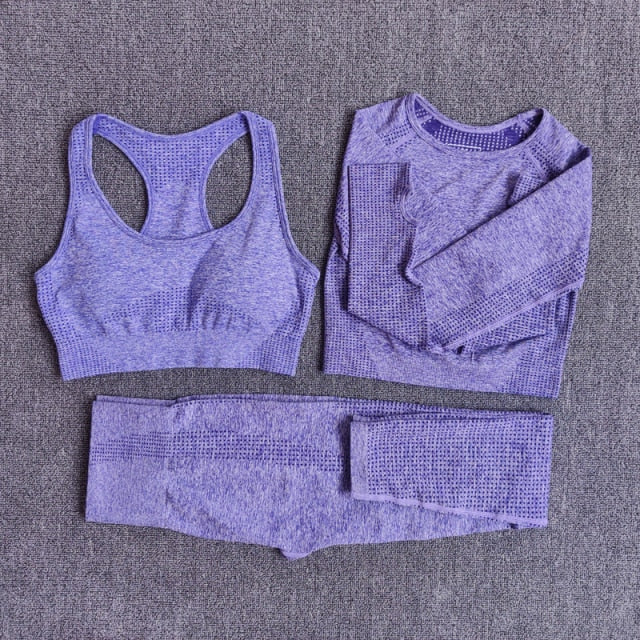 Conjunto Fitness Sem Costura 2/3/5 Peças