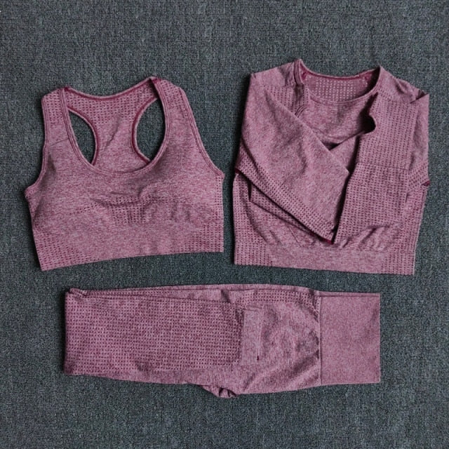 Conjunto Fitness Sem Costura 2/3/5 Peças