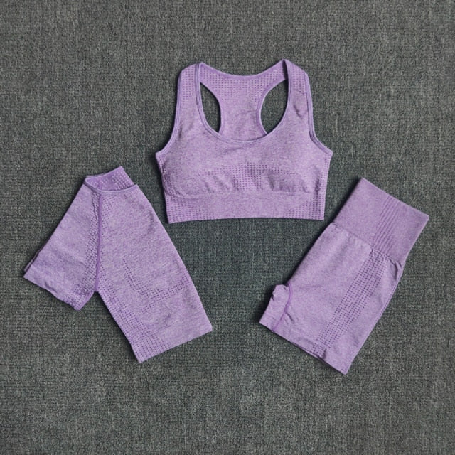 Conjunto Fitness Sem Costura 2/3/5 Peças