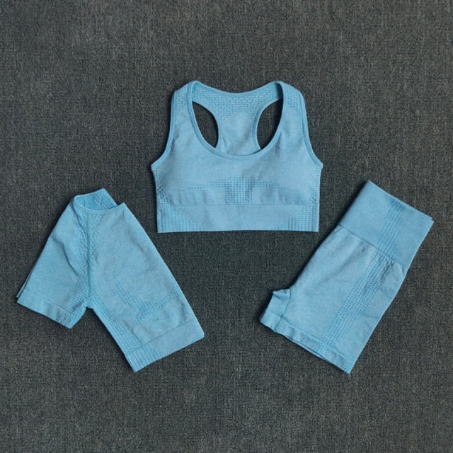 Conjunto Fitness Sem Costura 2/3/5 Peças