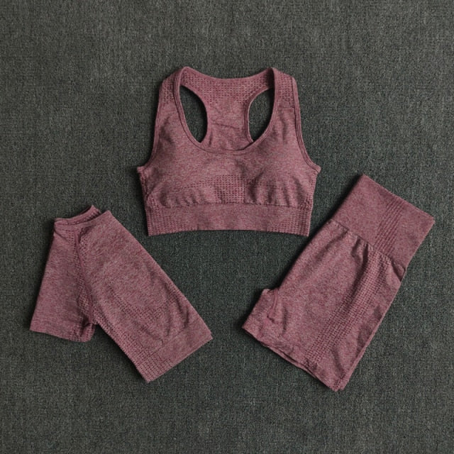 Conjunto Fitness Sem Costura 2/3/5 Peças